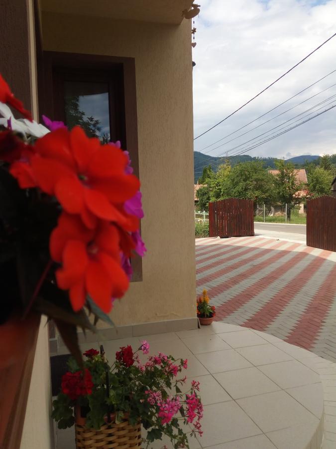 Hotel Casa Infinity Sovata Exterior foto