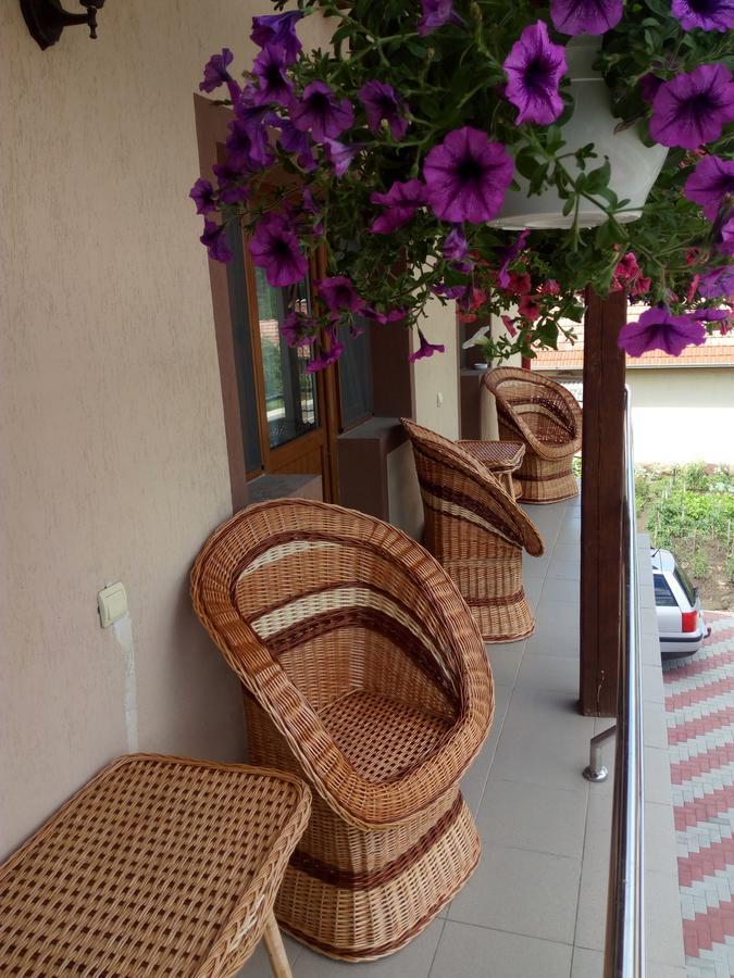 Hotel Casa Infinity Sovata Exterior foto