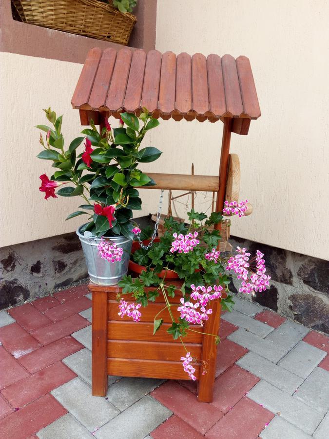 Hotel Casa Infinity Sovata Exterior foto